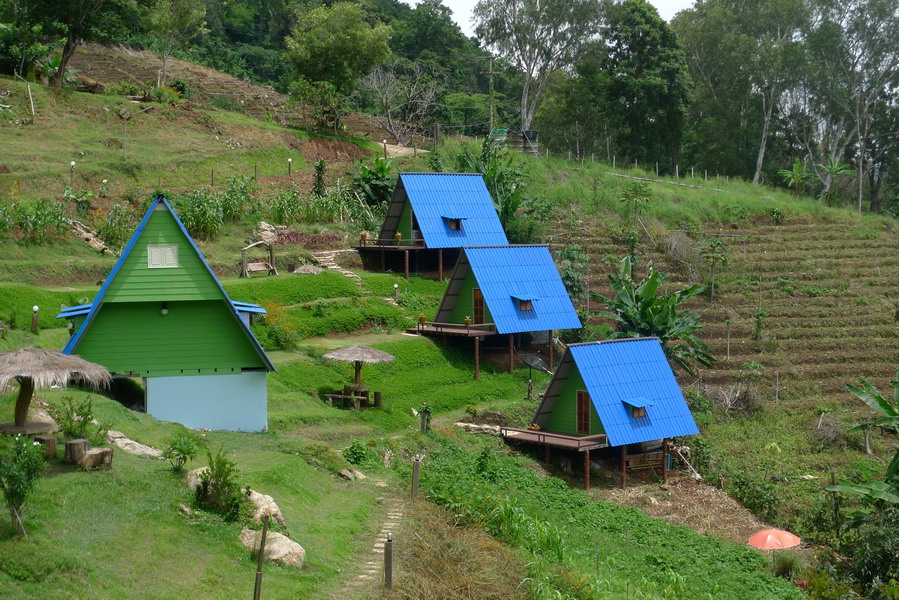 散落在田间的度假小屋