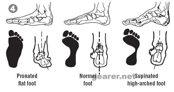 types_of_feet.jpg