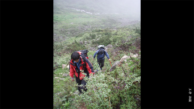 7月1日，早起还是大雾，我们仍是按计划上山。运输的主要是食品、燃料和器材。这种天气下找路有点 ...