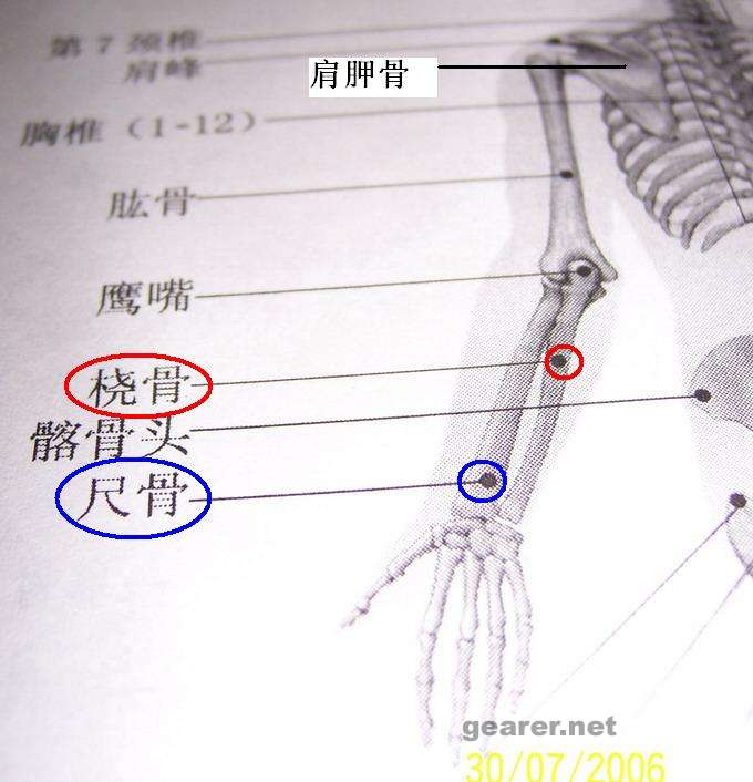 第128页的骨骼线图